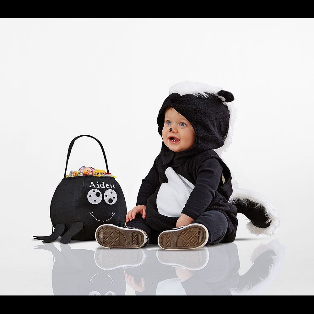 Pottery Barn Skunk Costume 0-6 Months
